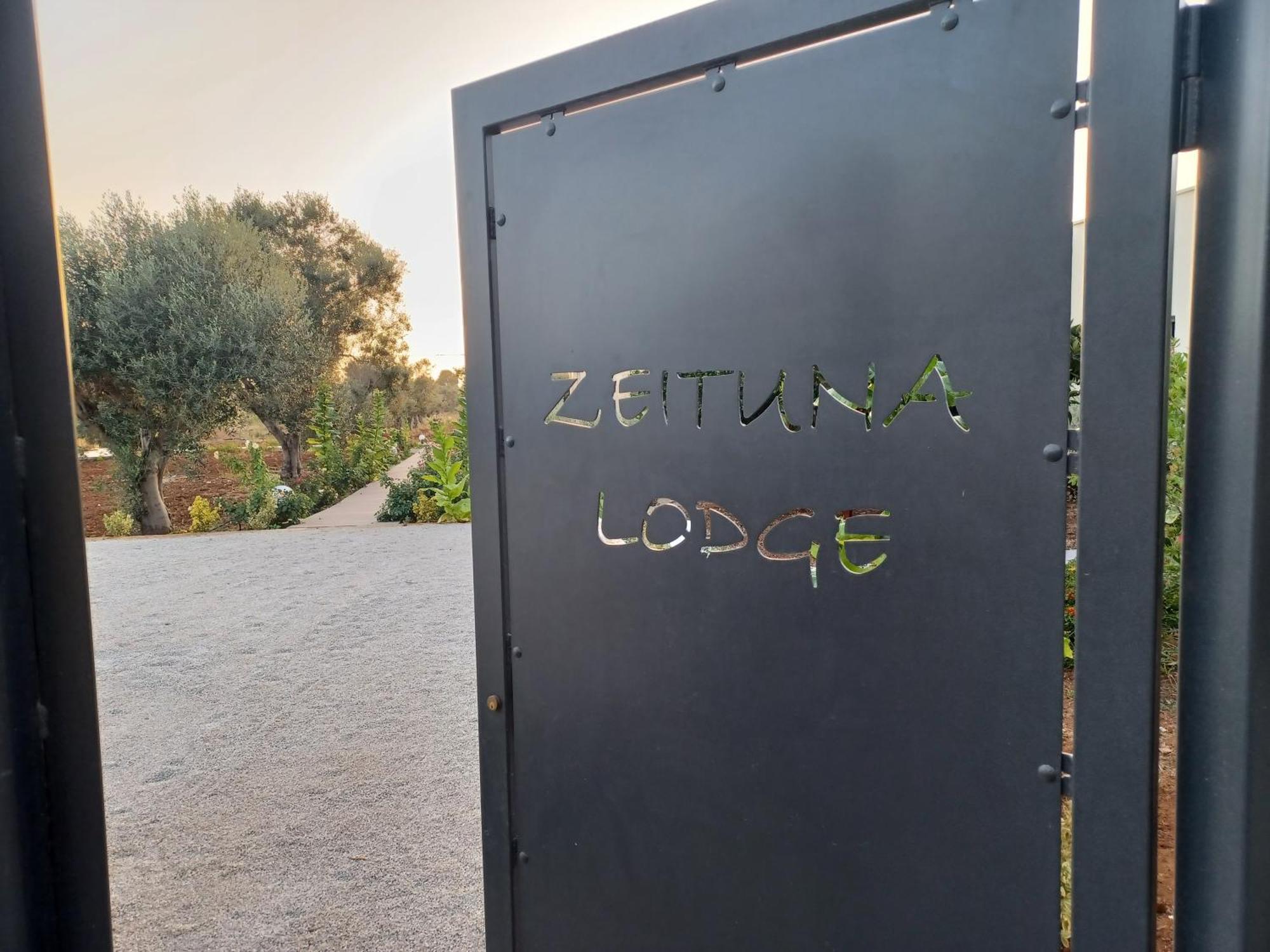Zeituna A Porto Cesareo * Torre Lapillo