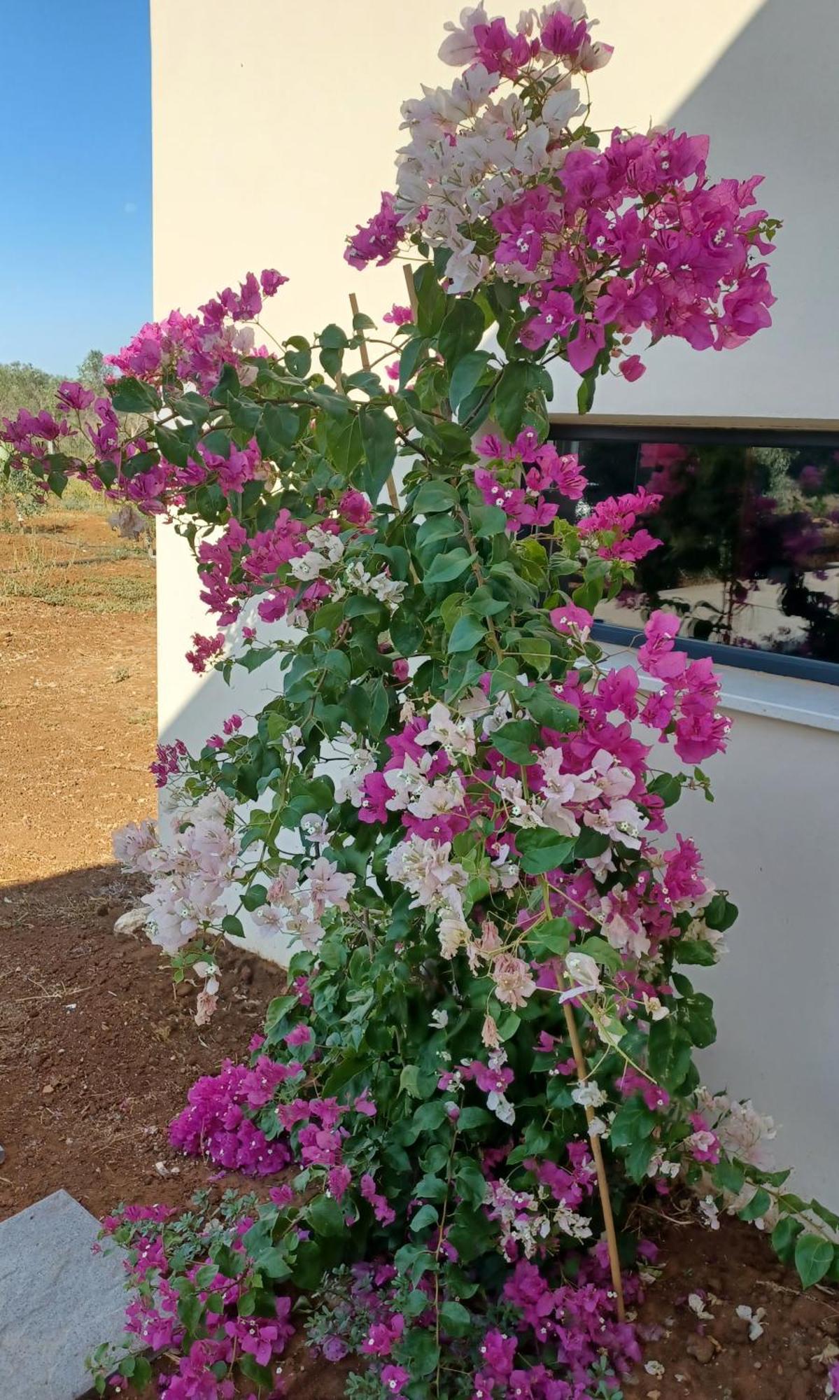 Zeituna A Porto Cesareo Holiday home Torre Lapillo