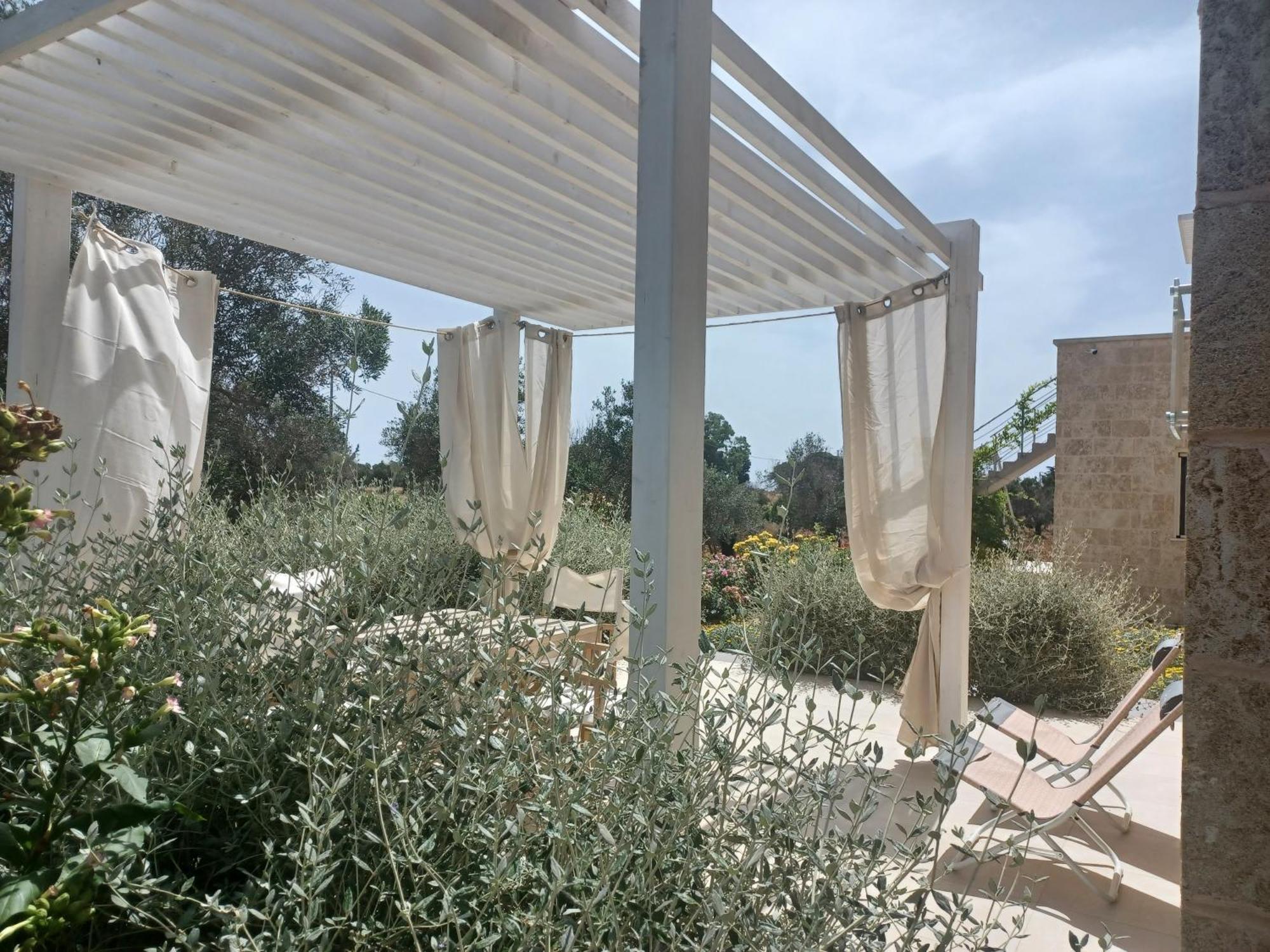 Zeituna A Porto Cesareo