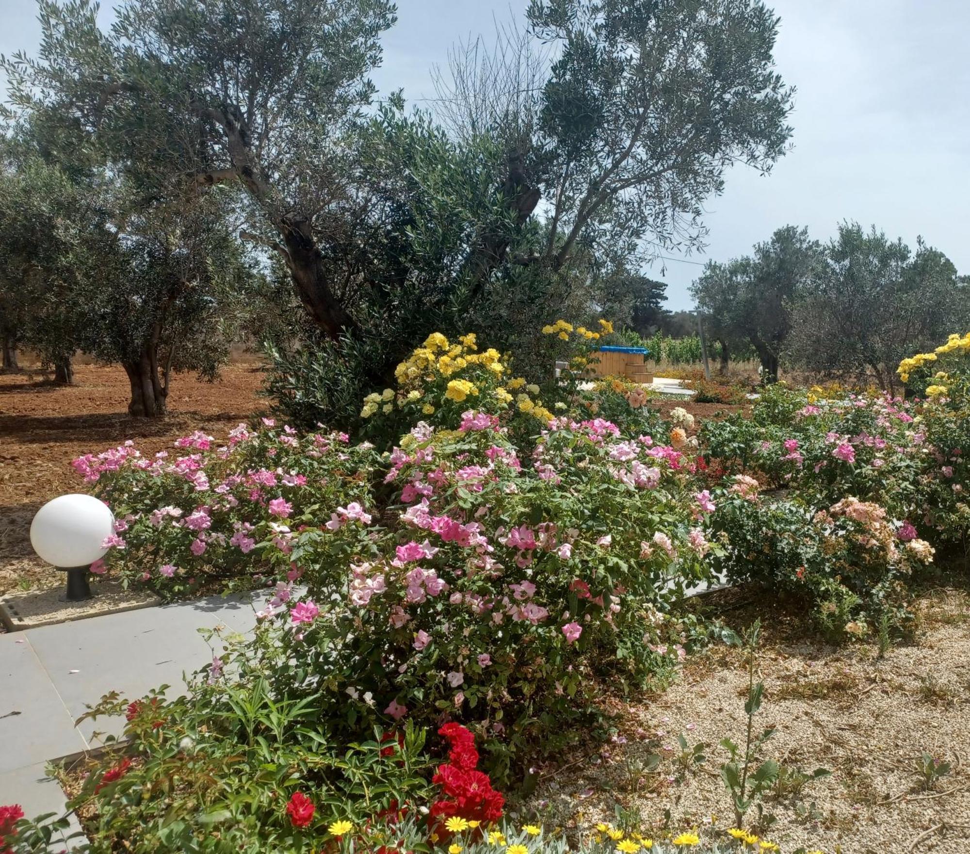 Zeituna A Porto Cesareo Holiday home *