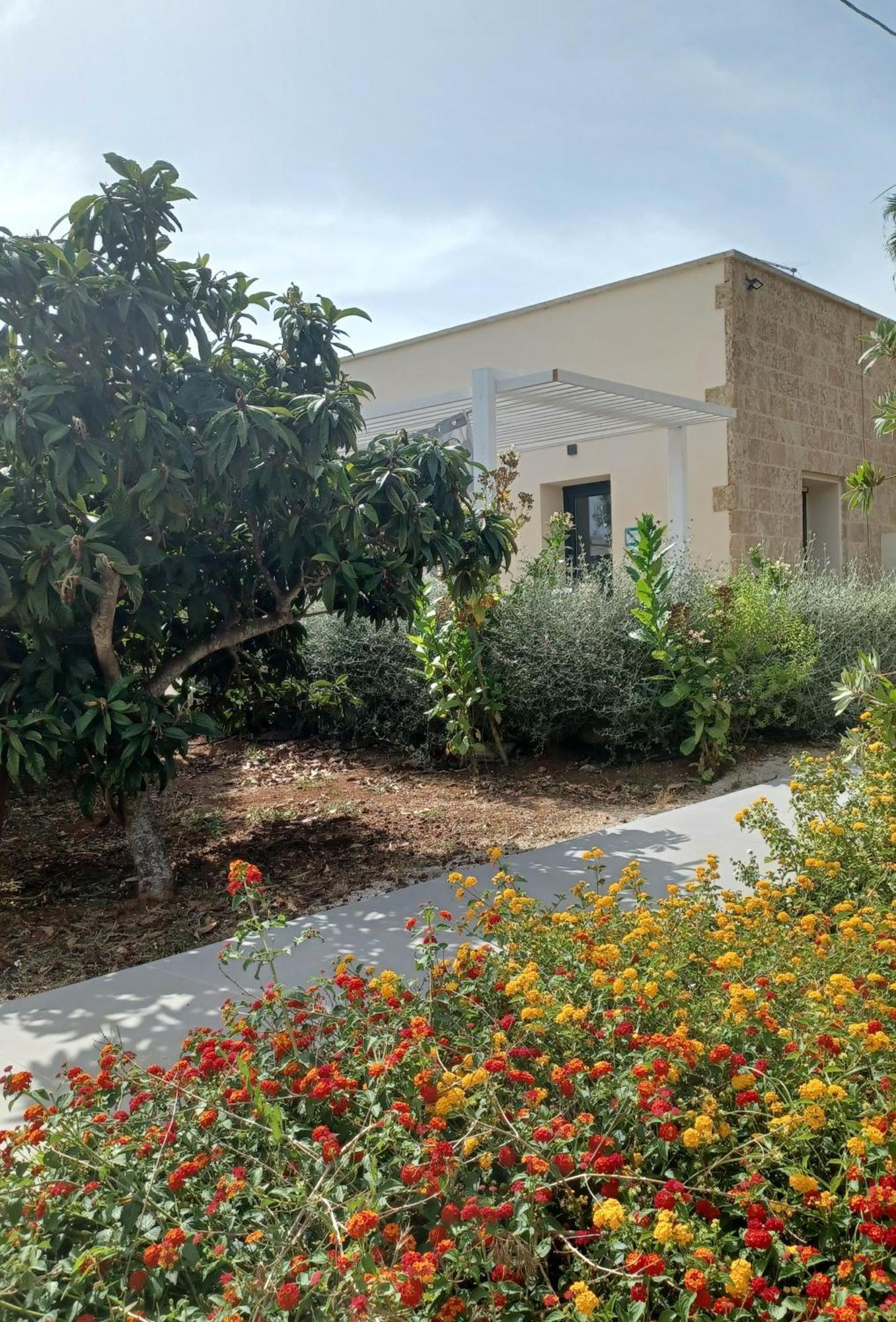 Zeituna A Porto Cesareo *