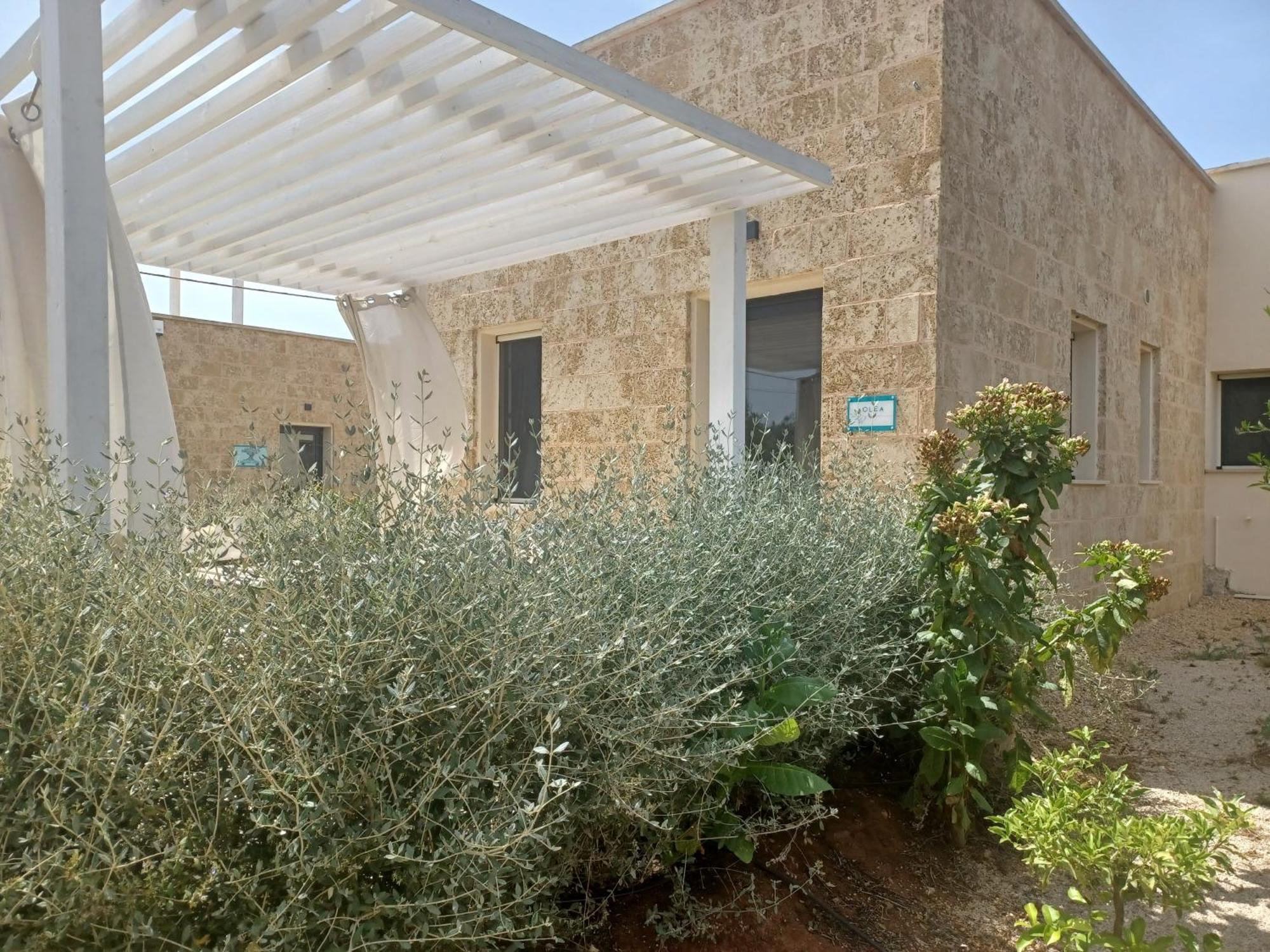 Zeituna A Porto Cesareo * Torre Lapillo