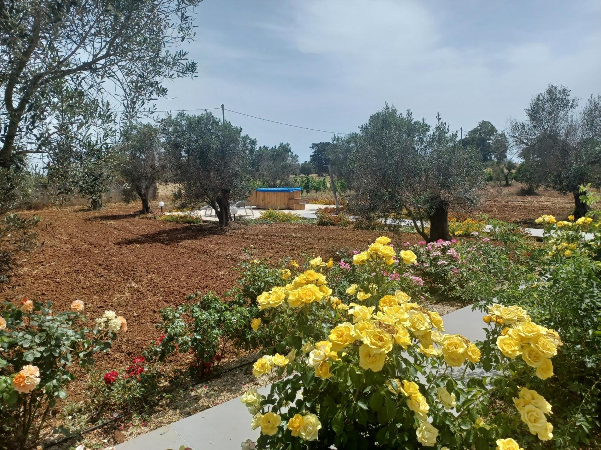 Holiday home Zeituna A Porto Cesareo Torre Lapillo