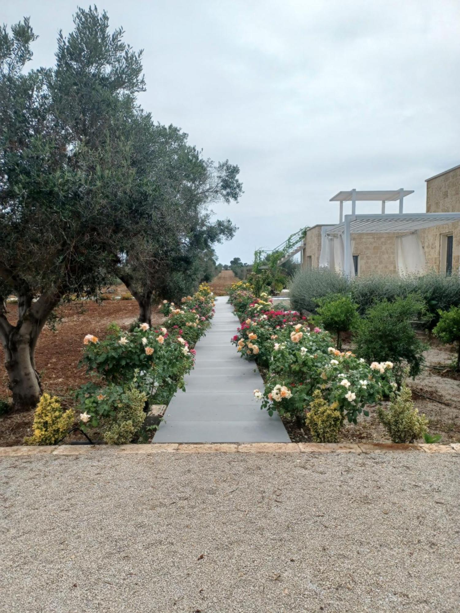 Zeituna A Porto Cesareo Holiday home Torre Lapillo